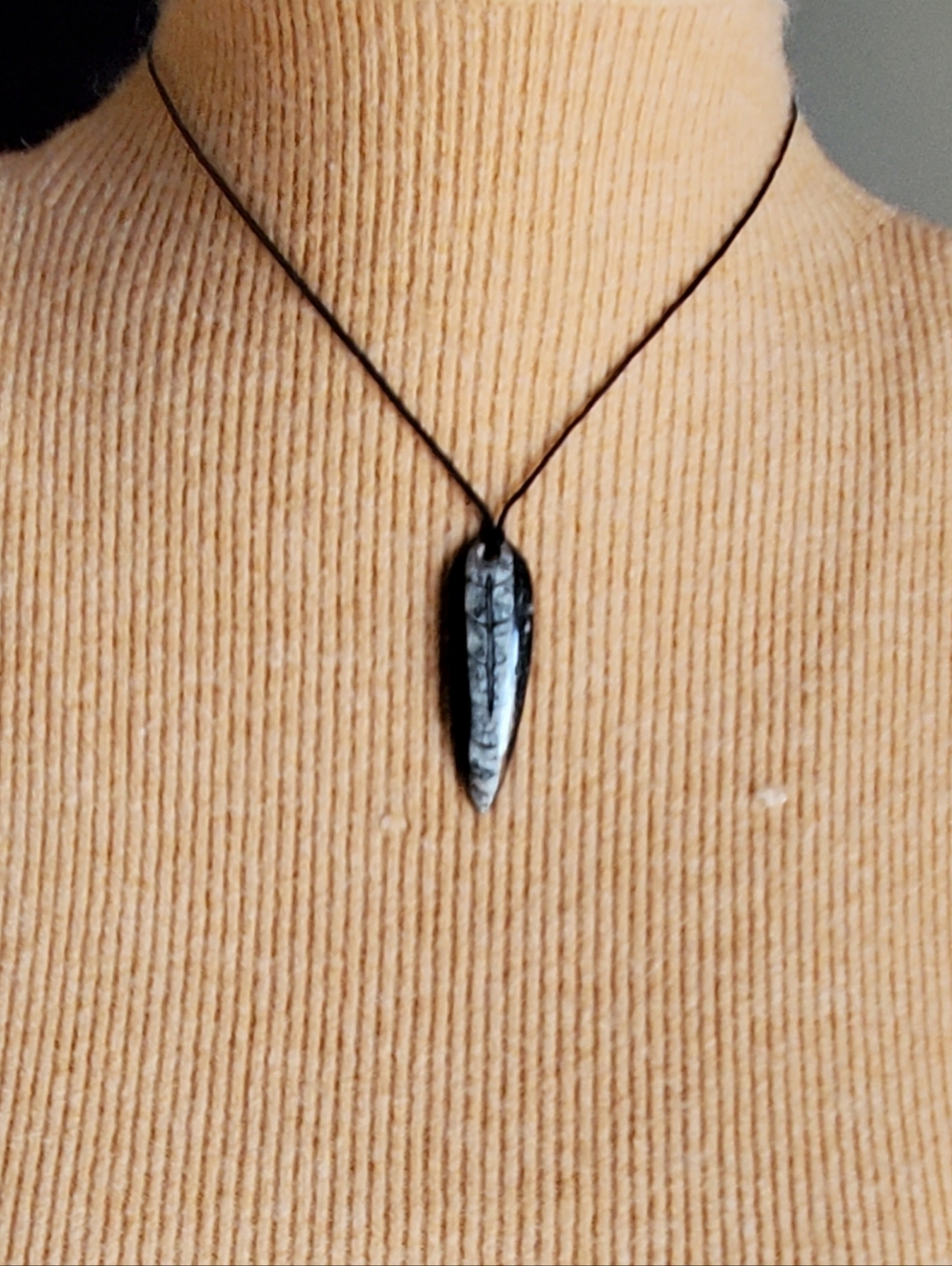 Orthoceras Nautiloid Fossils Pendant Necklace